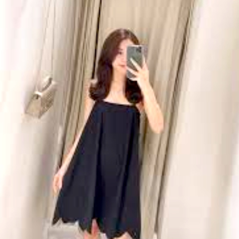 Zara poplin cutwork embroidery mini dress
